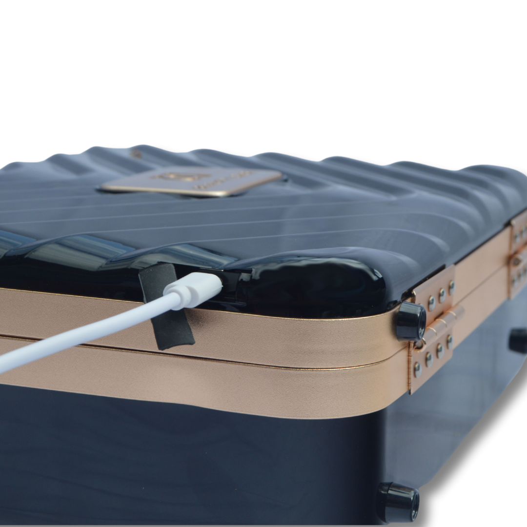 Luxury Beauty Case